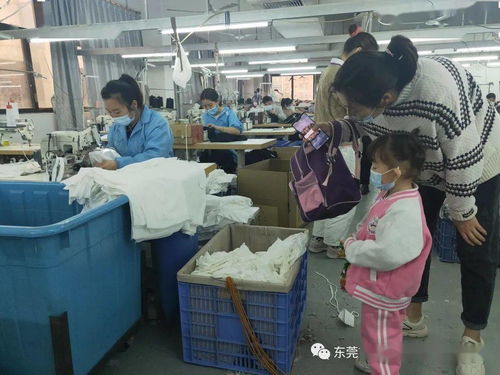 一起走進服裝廠 虎門東方明珠幼兒園主題探究活動