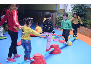 西北比較好的幼兒園 甘肅雙語幼兒園加盟哪家可靠