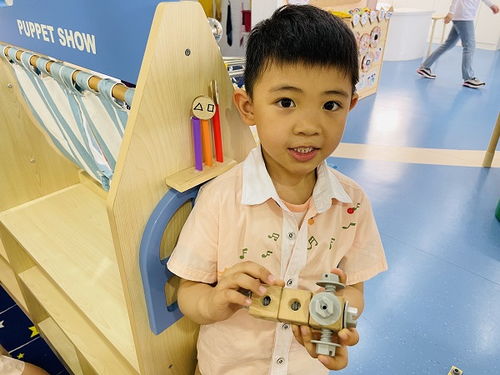 廬陽實驗幼兒園教育集團四里河畔園 自主游戲 綻放童真